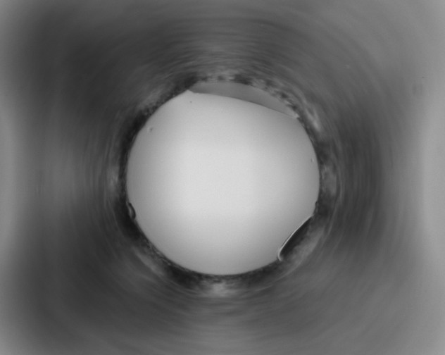 X0000086930564200705141744