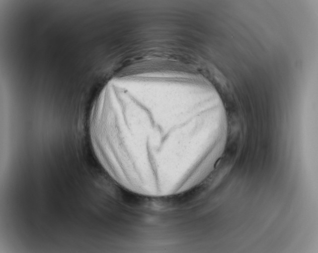 X0000086930565200705141744