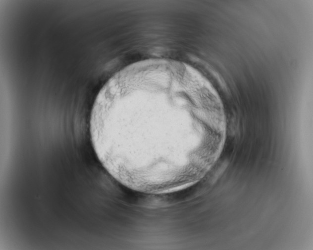 X0000086930569200705141744