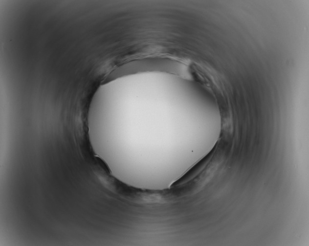 X0000086930572200705141744