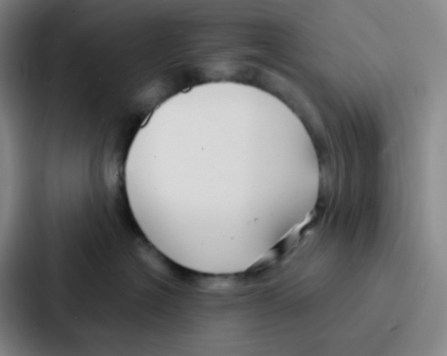 X0000086930574200705141745