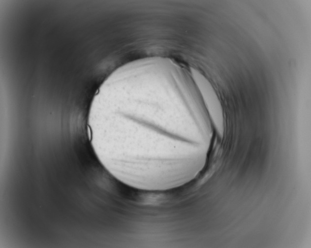 X0000086930575200705141745