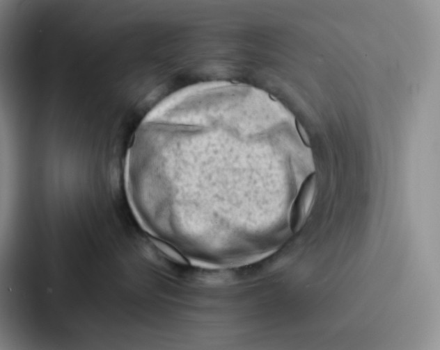 X0000086930576200705141745