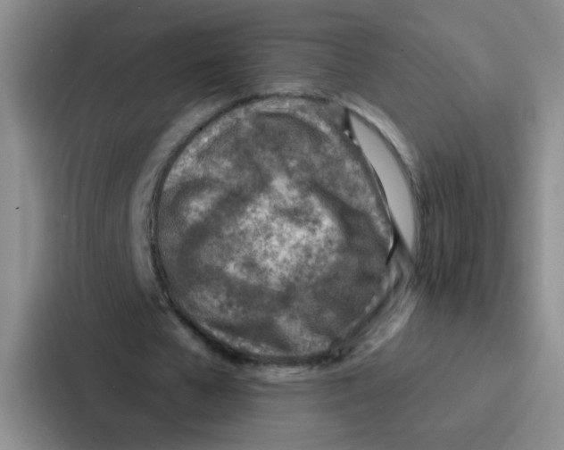 X0000086930577200705141744