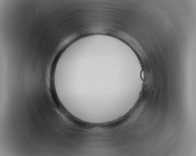 X0000086930578200705141744