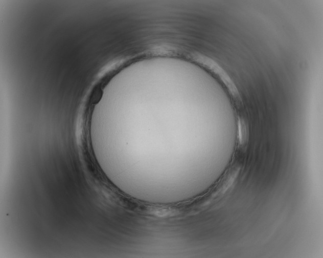 X0000086930579200705141744