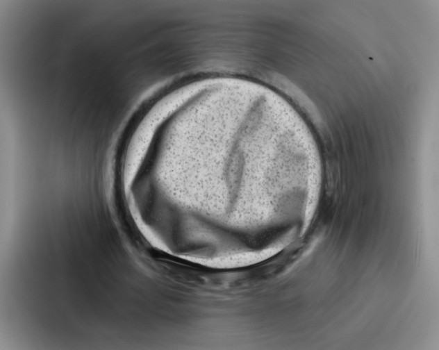 X0000086930580200705141744