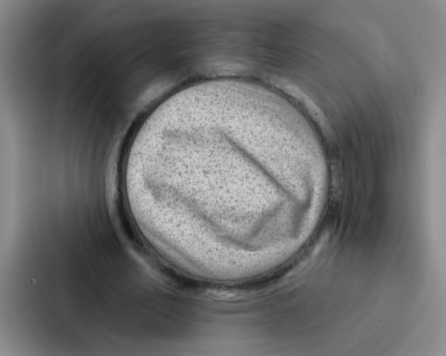 X0000086930582200705141744