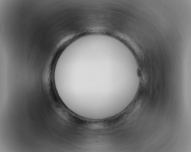 X0000086930583200705141744