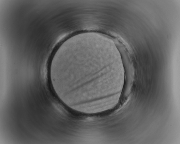 X0000086930584200705141744