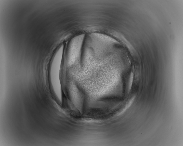 X0000086930585200705141744