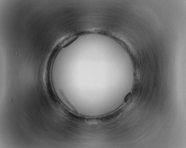 X0000086930587200705141744