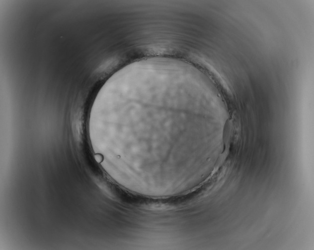 X0000086930590200705141744