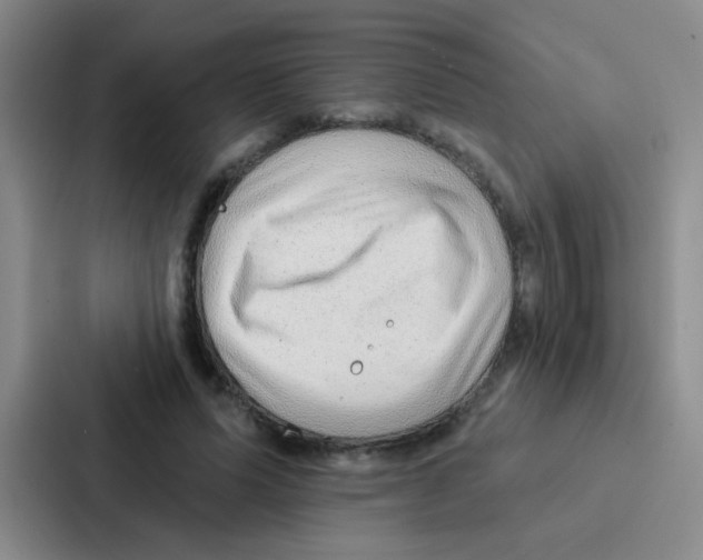 X0000086930591200705141744