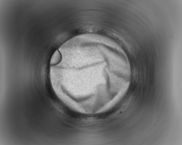 X0000086930594200705141744