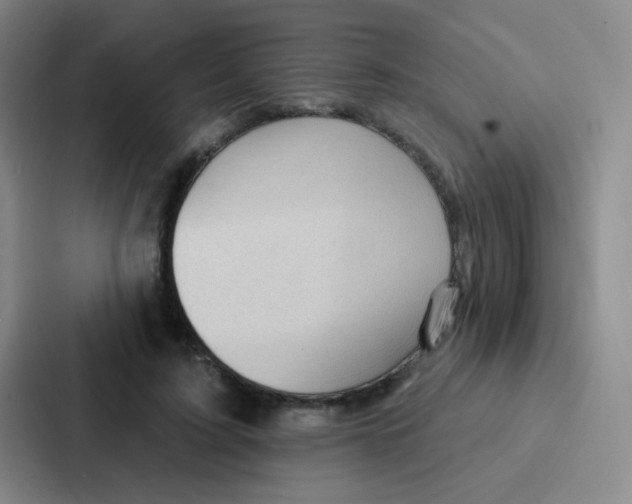 X0000086930595200705141744