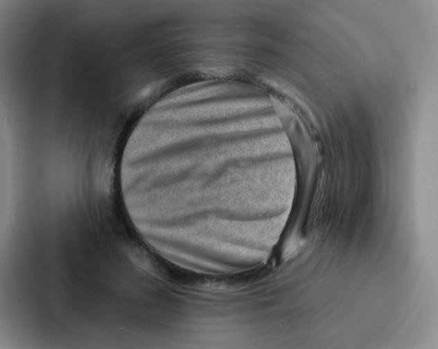 X0000086930596200705141744