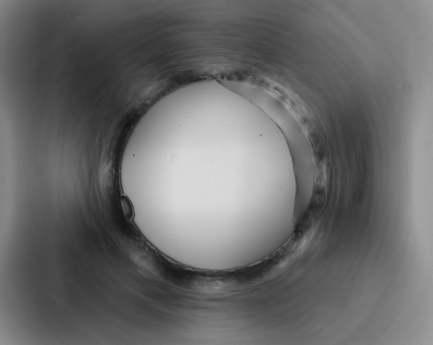 X0000086930597200705141744