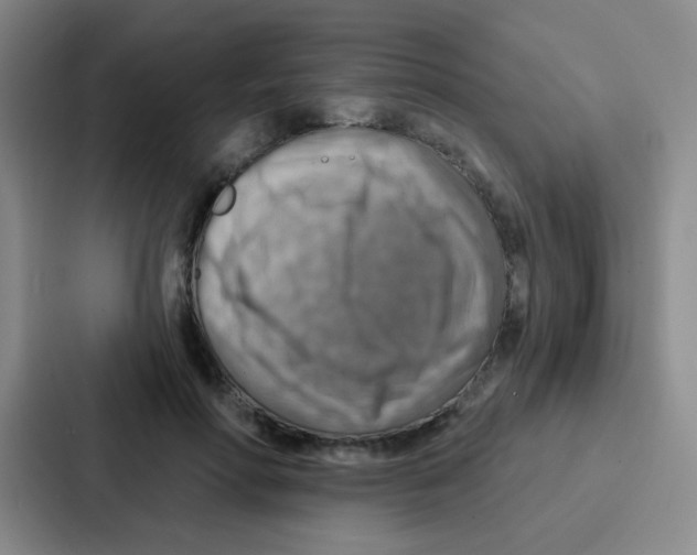 X0000086930598200705141744