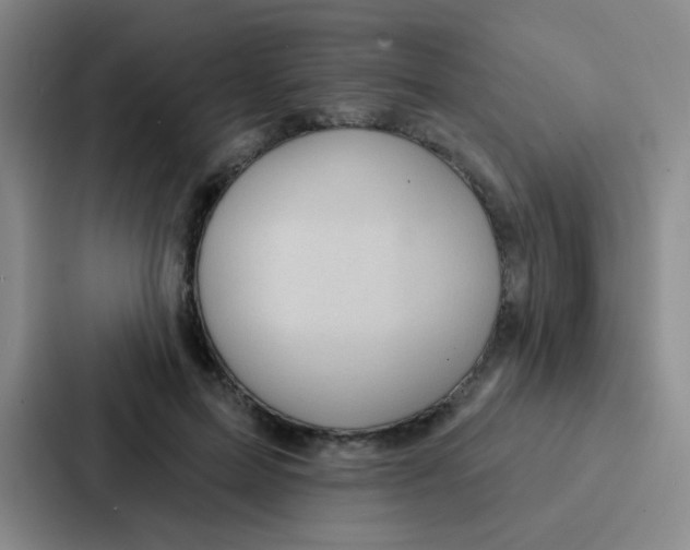 X0000086930599200705141744