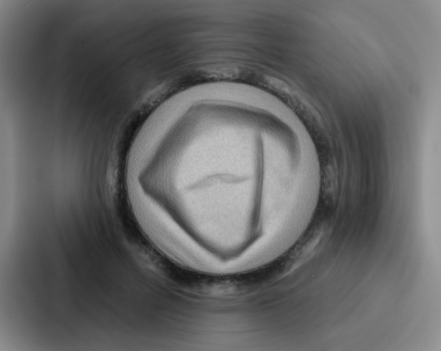 X0000086930600200705141744