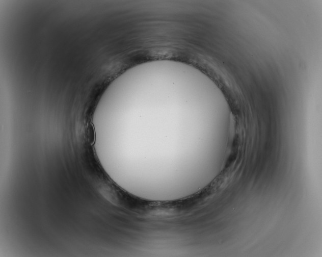 X0000086930601200705141744