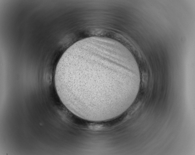 X0000086930602200705141744