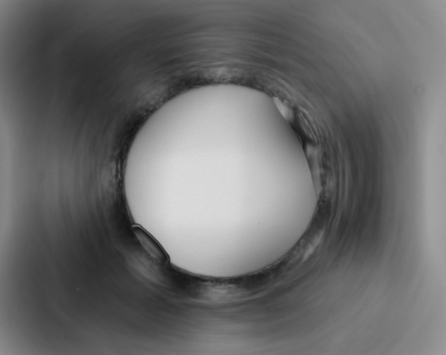 X0000086930605200705141744