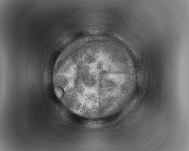 X0000086930606200705141744