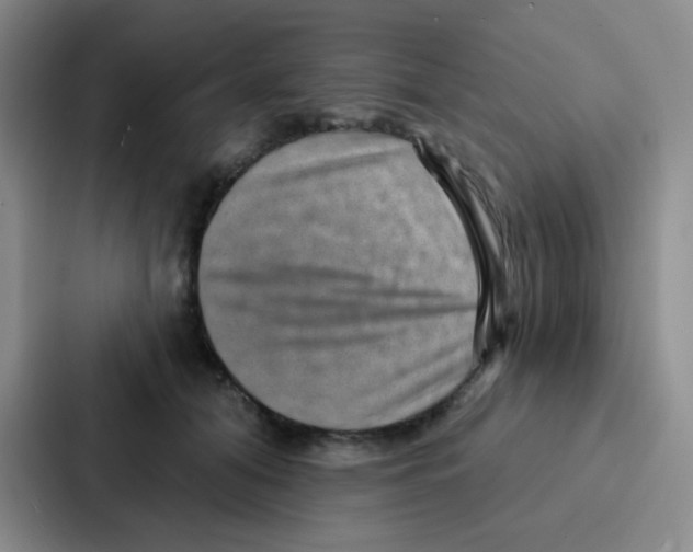 X0000086930608200705141744