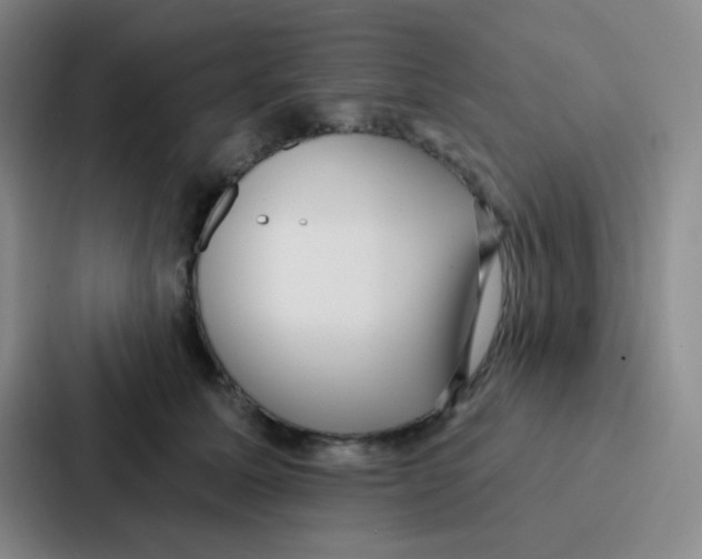 X0000086930611200705141743