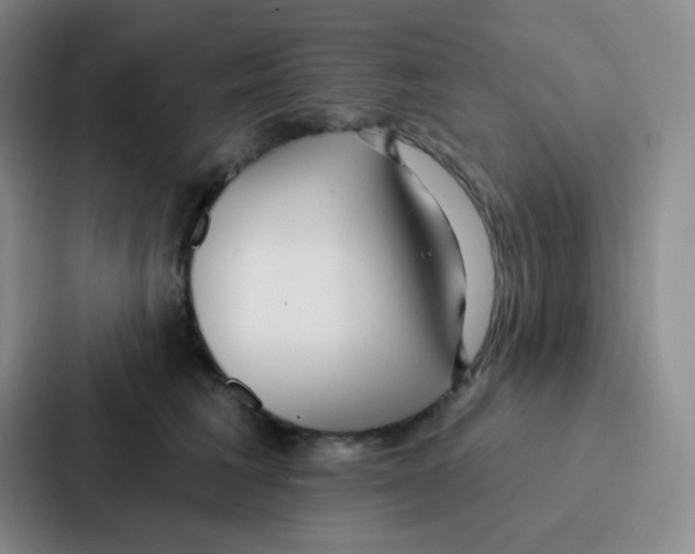 X0000086930613200705141743