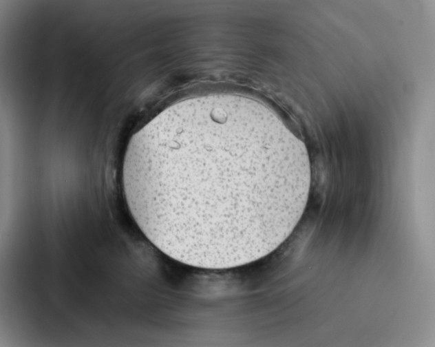 X0000086930615200705141743