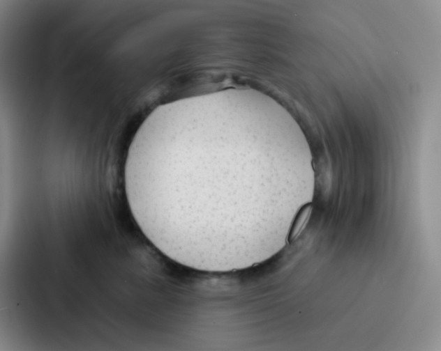 X0000086930619200705141743