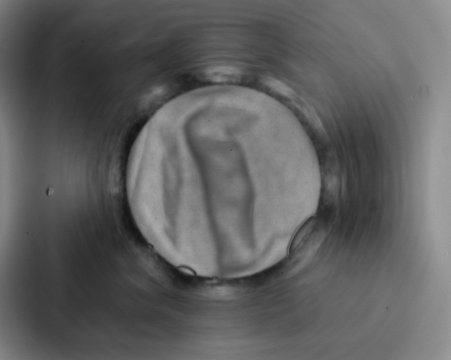 X0000086930620200705141743