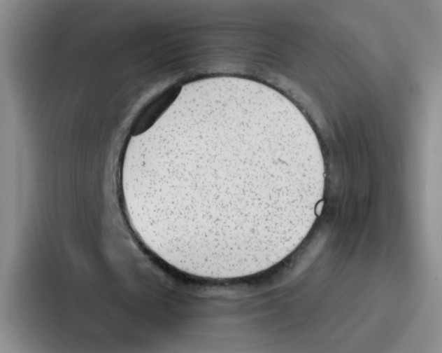 X0000086930625200705141743