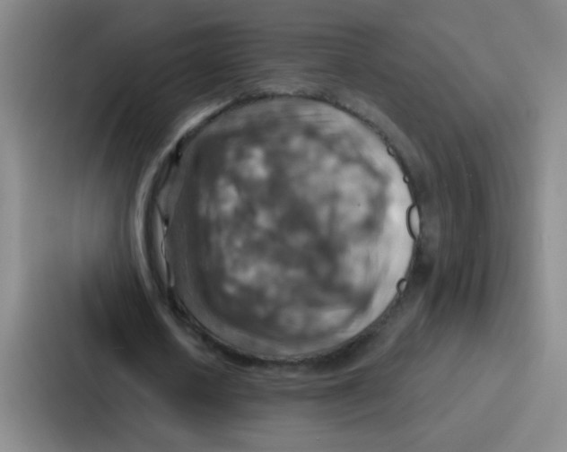 X0000086930626200705141743