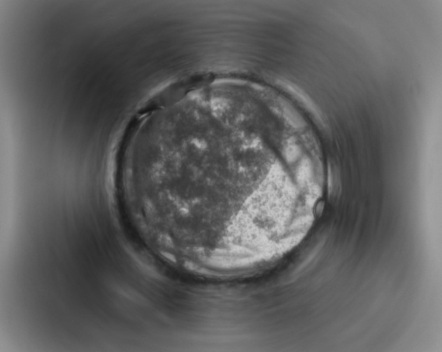 X0000086930627200705141743