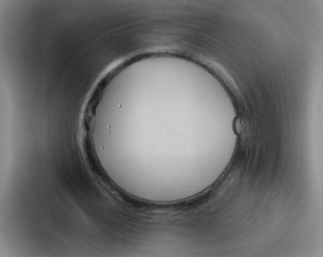 X0000086930628200705141743