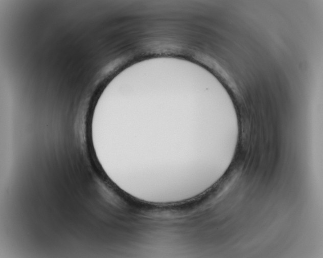 X0000086930629200705141743