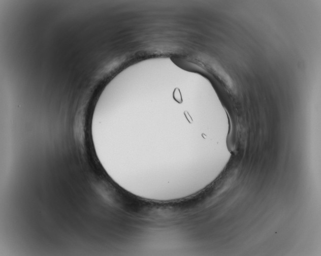 X0000086930631200705141743