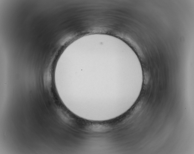 X0000086930632200705141743