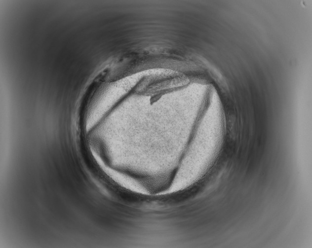 X0000086930634200705141743