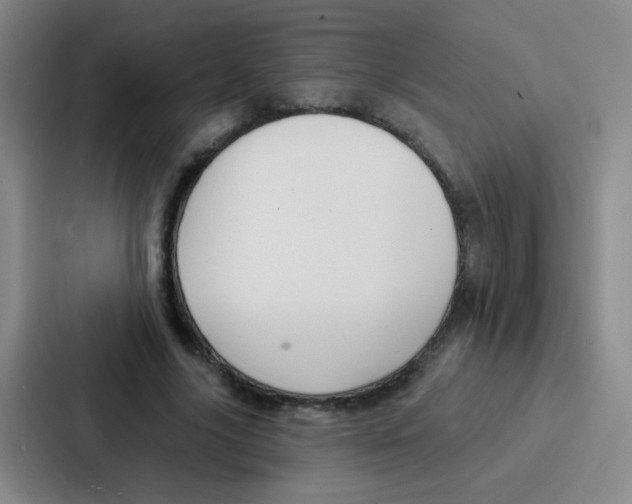 X0000086930635200705141743