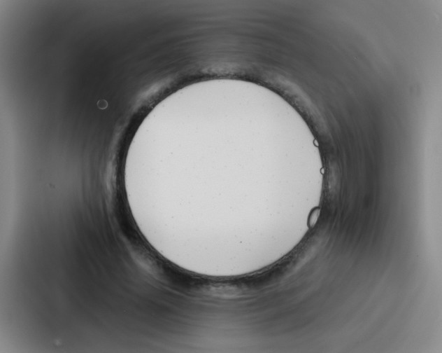 X0000086930636200705141743