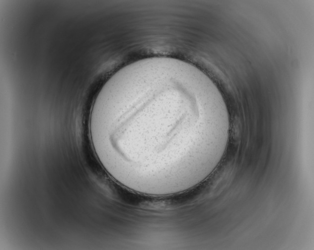 X0000086930639200705141743