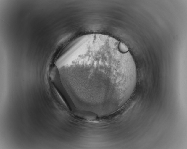 X0000086930640200705141743