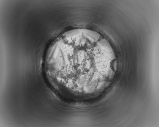 X0000086930641200705141743