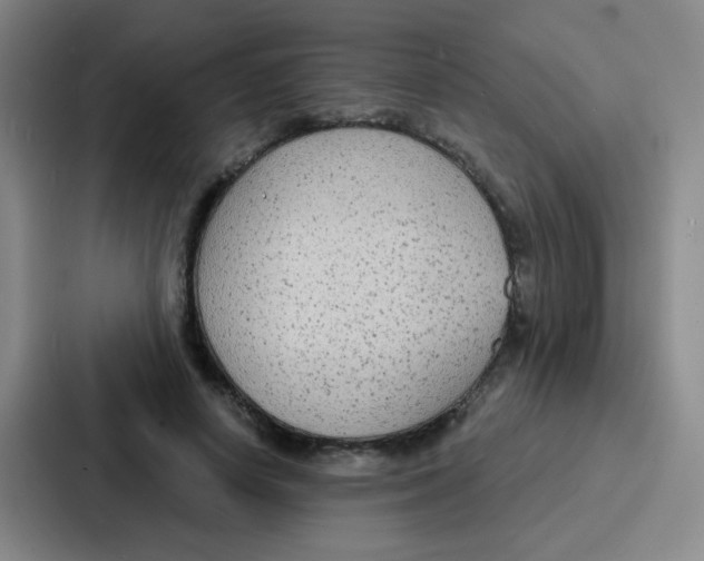 X0000086930642200705141743