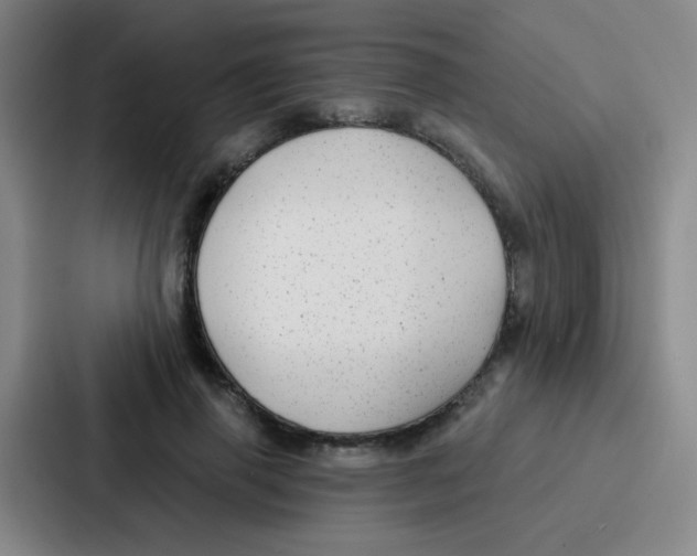 X0000086930645200705141743